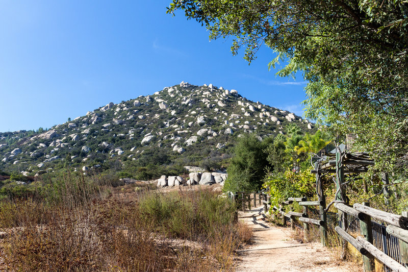 Mount Woodson from the Fry Koegel Trail as you move along the residential area on the right