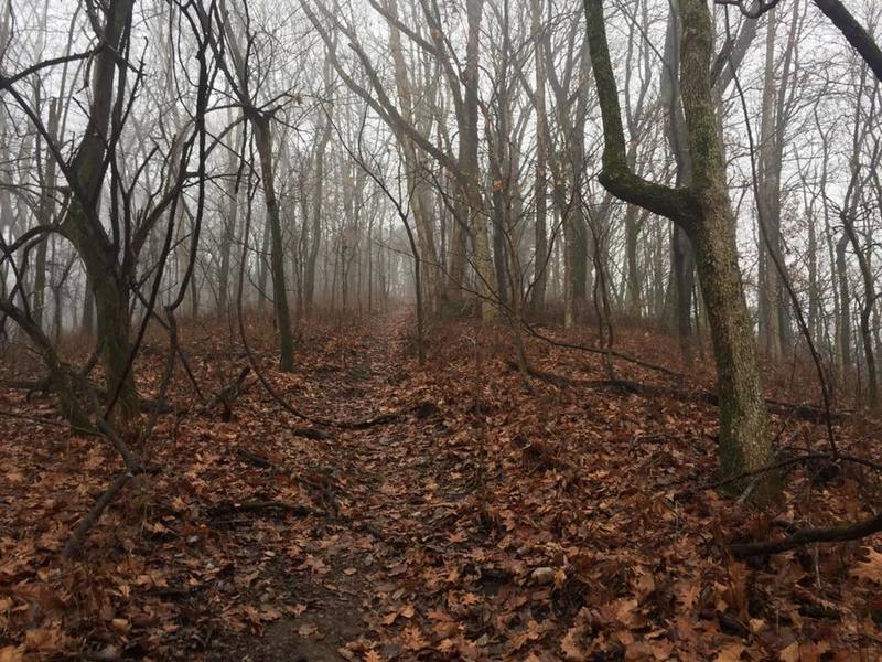 Cloudy day on the trail