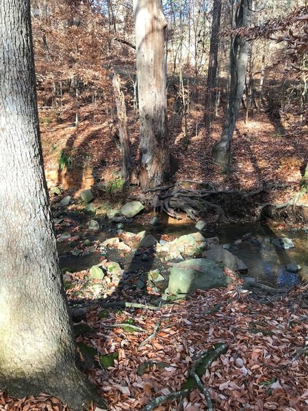 Rock hopping creek crossing