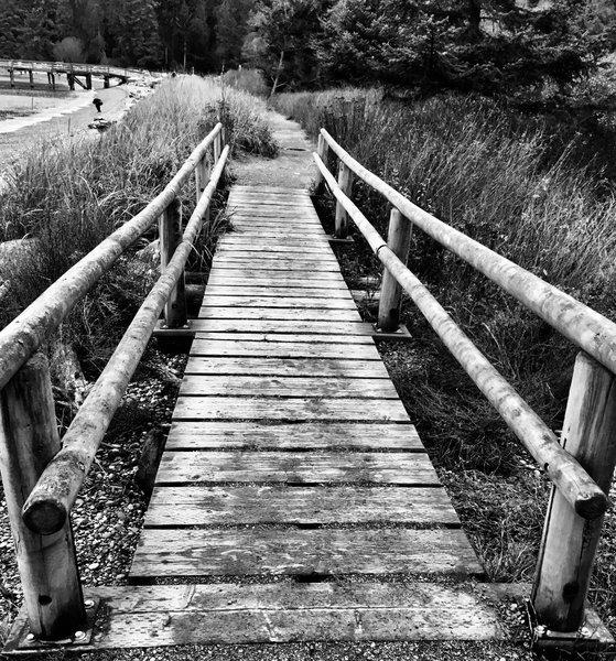 Foot bridge, Bowman Bay.