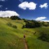 Along the Grizzly Gulch Trail