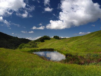 A small pond along the Grizzly Gulch Trail