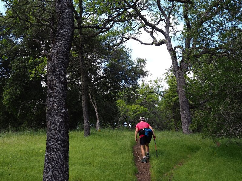 Climbing up the Willson Peak Trail