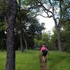 Climbing up the Willson Peak Trail