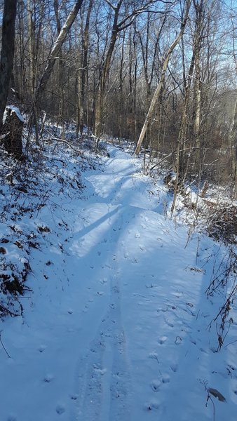 Snow covered bumps.