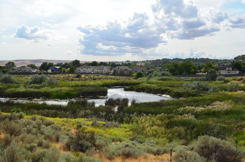 Beautiful view of the Amon Basis Preserve.