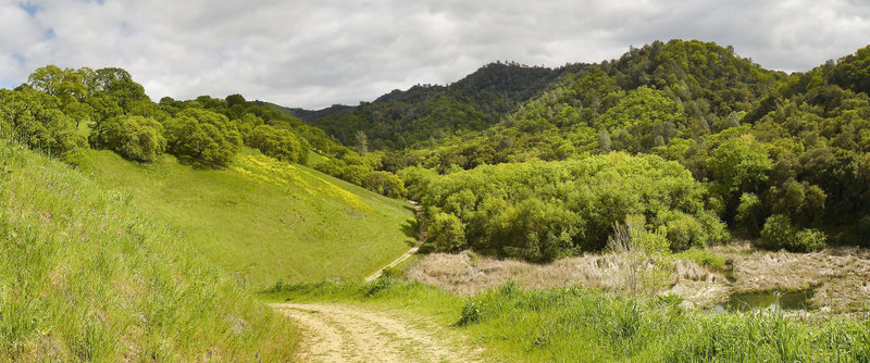 Burma Road through Pine Canyon in the spring