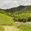 Burma Road through Pine Canyon in the spring