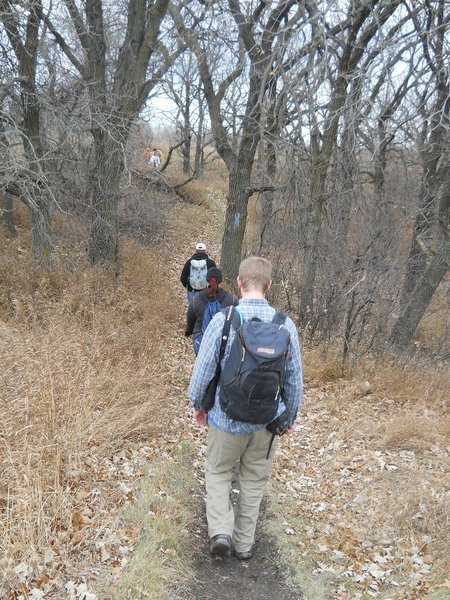 Hiking through the oak savanna