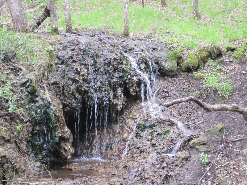 The waterfall in the spring
