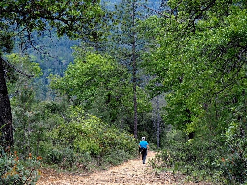 Returning to the trailhead