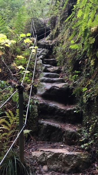 Steep rocky stair steps above beside a waterfall