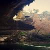 Hamilton Pool