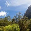 View from the clearing next to Hirere Falls Shelter