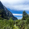 The lush green along the Milford Track when you pass The Prairie