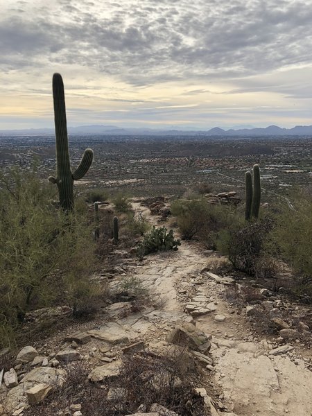 Looking back at the trail and city below at one of the benches approx 3/4 way up.