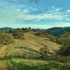 Pena Trail meanders on grass ridge with the Santa Cruz Mountains in the distance, to the south.