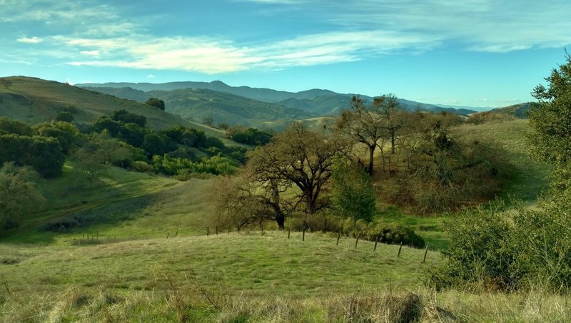 The Santa Cruz Mountains with Mt. Umunhum at 3,488 ft., in the distance behind the wooded and grass hills of Calero County Park, looking west-southwest from high on Pena Trail