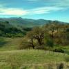 The Santa Cruz Mountains with Mt. Umunhum at 3,488 ft., in the distance behind the wooded and grass hills of Calero County Park, looking west-southwest from high on Pena Trail