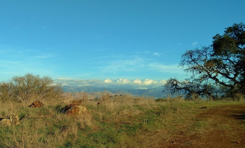 The Diablo Range is in the distance to the northeast, as seen from a rocky grass ridge of Los Cerritos Trail.