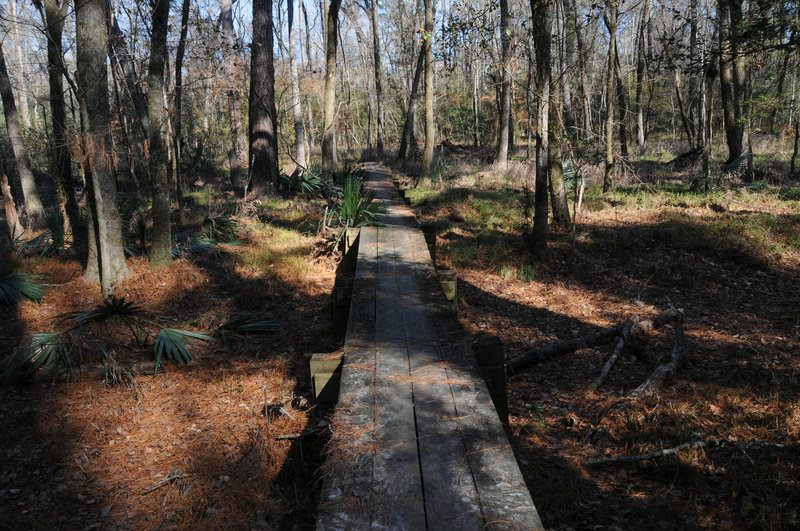 Boardwalks help with crossing Little Lake Creek (which was mostly dry in January)