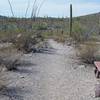 Benches sit alongside the trail in case you need to rest on the journey.