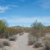 The trail as it makes its way through the desert.