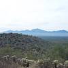 As you reach the top of the hill, views of the surrounding mountains spread out before you.   Here you can see the Cubabi Mountains in Mexico to the South.