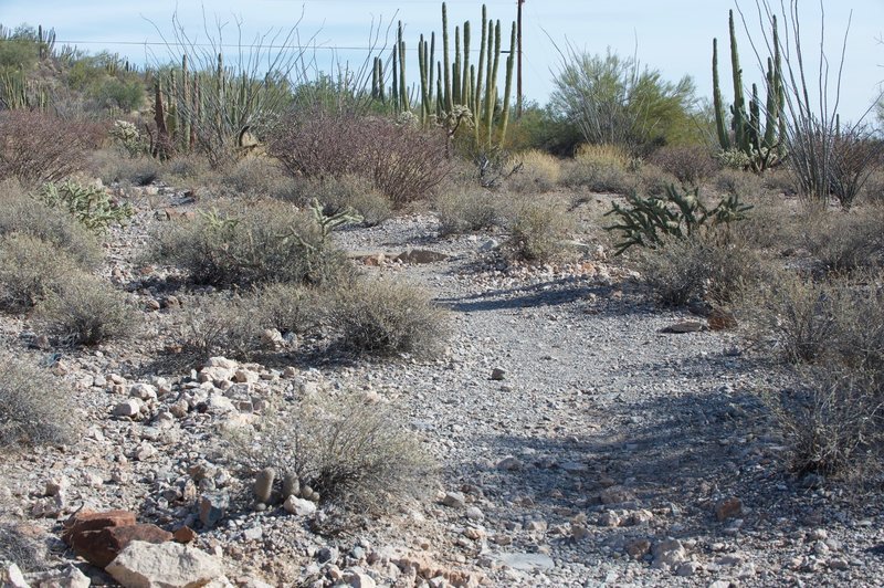 The trail is a little rockier here as it descends toward the parking lot.