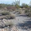 The trail is a little rockier here as it descends toward the parking lot.