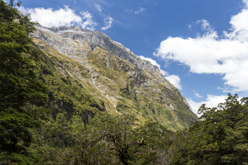 Castle Mount towering Marlenes Creek