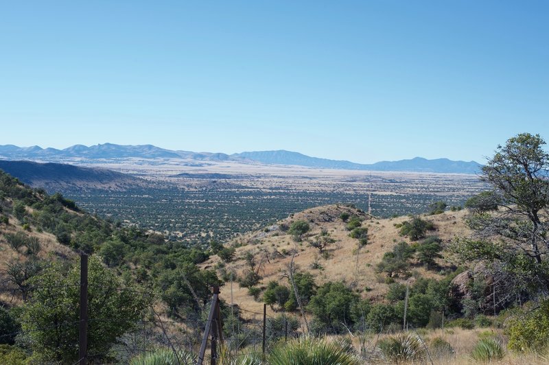 You can see the border fence as it goes off into the distance. To the left, Mexico. To the right, Arizona.