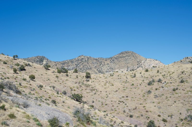 The trail climbs gently along the hillside to a gap in the ridge where the trail meets up with the Joe's Canyon Trail.
