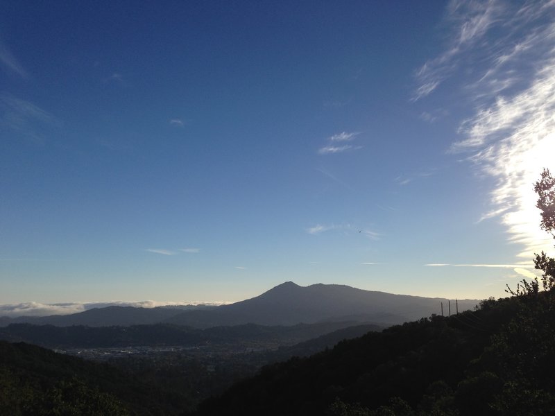 Mount Tamalpais from the Oak Ridge Trail