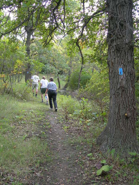 Hiking through the forest