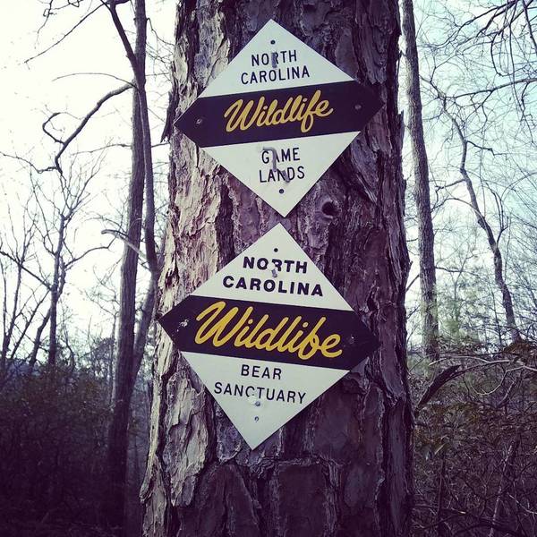 Saw these signs frequently as the trail borders gamelands