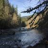 Great river access along this trail for kids and dogs. Watch out though as it moves a bit fast! Especially in January.