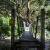 The last bridge over the Clinton River - only one person at a time!