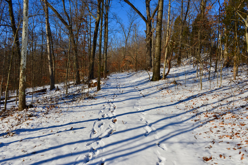 Red Trail in Broughton Nature and Wildlife Education Area at parking area on ridge above Pond Entrance and GWB Complex 3.