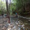 Another crossing of Moore Creek