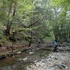 Yet another crossing of Moore Creek