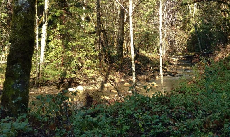 East Branch of Soquel Creek along Hihn's Mill Road