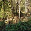 East Branch of Soquel Creek along Hihn's Mill Road