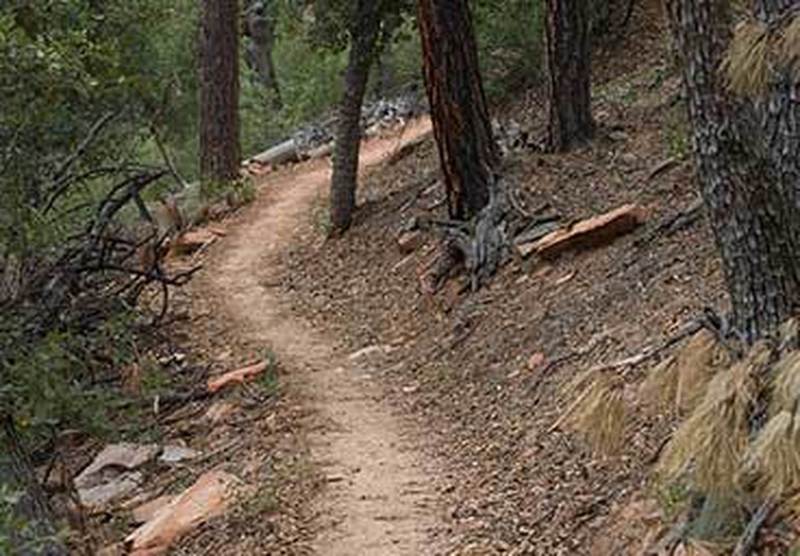 Typical packed clay course trail section