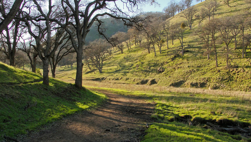 Round Valley Regional Preserve Miwok Trail.