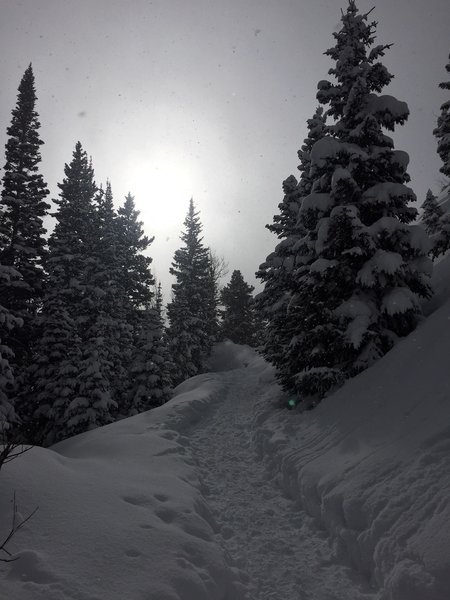 Snowy trail to Dream Lake