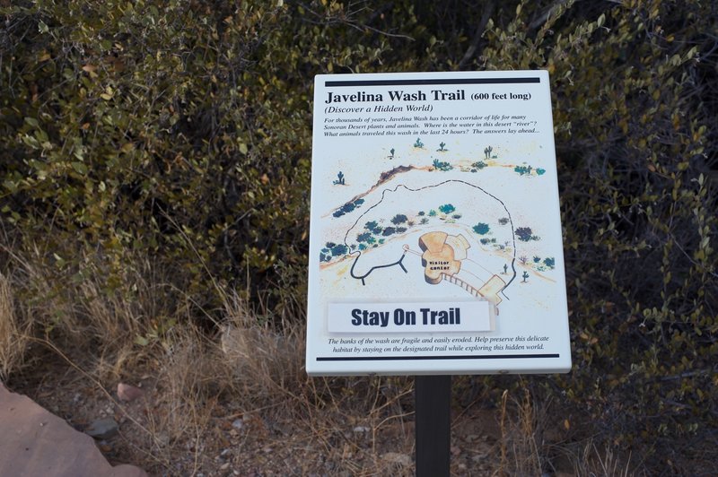 The Javelina Wash Trail goes around the back of the visitor center and provides information regarding life in the desert.