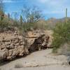 The wash shaped the landscape, providing homes for animals and better conditions for plants growing in the area.