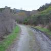 The trail follows an old farm road for the first mile.  Made up of gravel and dirt, it makes for easy walking.