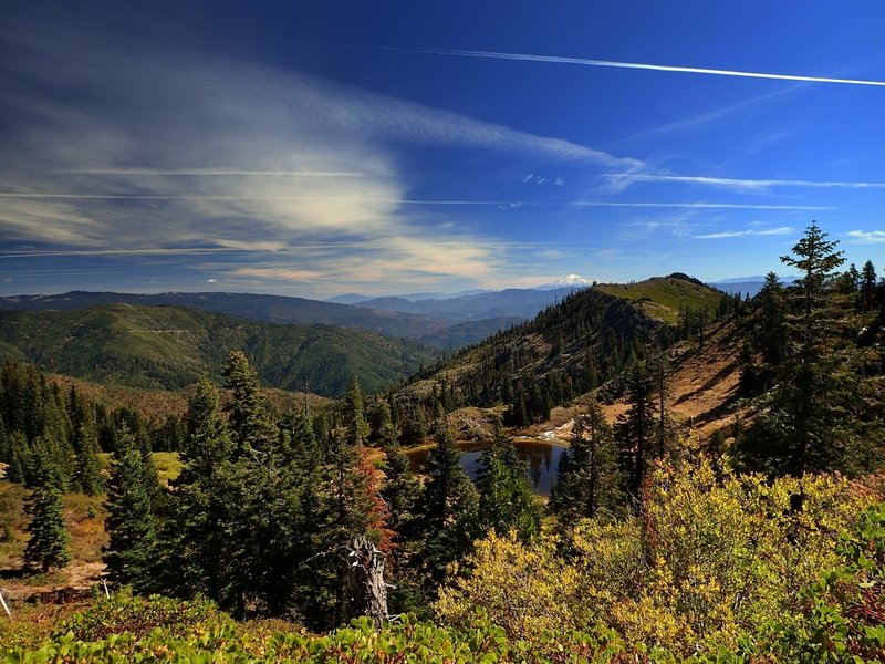 Mount Shasta from the start of the Towhead Lake Spur Trail